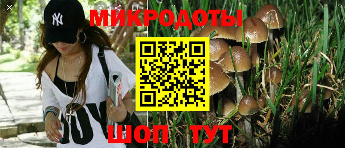 КЕТАМИН Елец