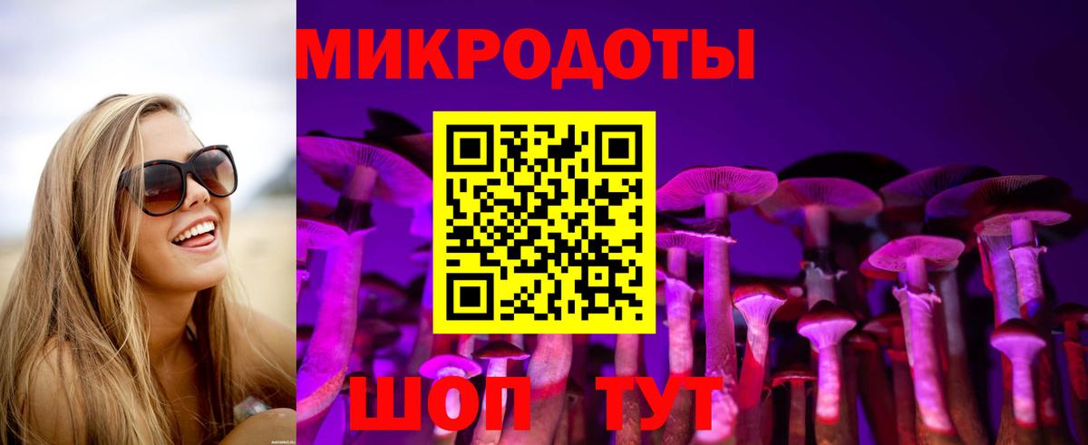 Елец  Галлюциногенные грибы Psilocybe  Галлюциногенные грибы мицелий  цена наркотик  Вход с VPN 
